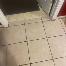 Lake Martin Vinyl Flooring 3